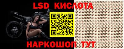 ГАЛЛЮЦИНОГЕННЫЕ ГРИБЫ Заводоуковск