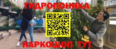 гашик Заволжье