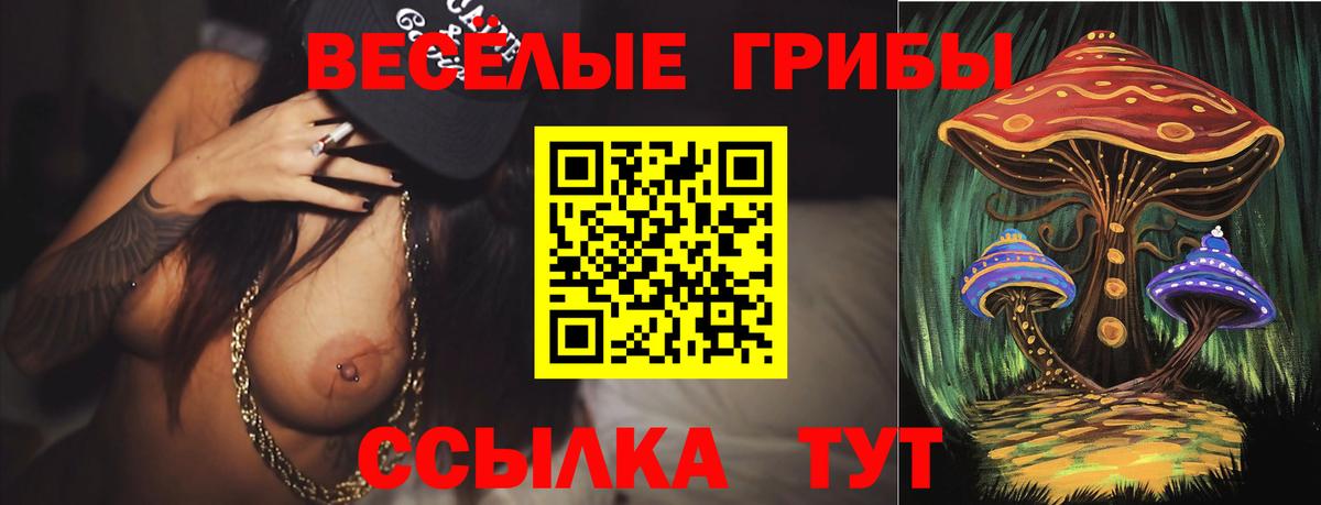 Мичуринск  Галлюциногенные грибы Psilocybine cubensis  наркота  Вход с VPN 